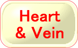 Heart & Vein