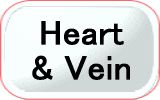 Heart & Vein