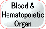 Blood & Hematopoietic Organ