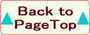 back to pagetop